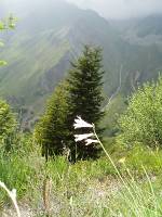 Youri - Ecrins 2005 398